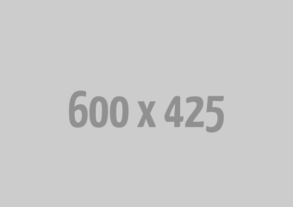 Social Media Marketing (SMM)